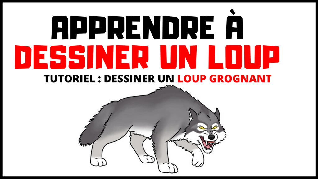 Comment Dessiner un Loup ?