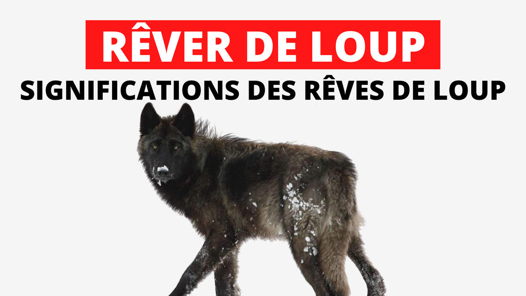 Rêver de Loup