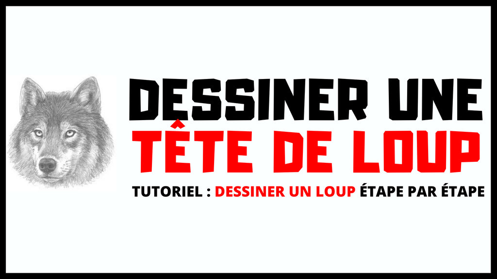 Comment dessiner une Tête de Loup ?