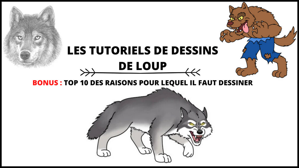 Loup Dessin