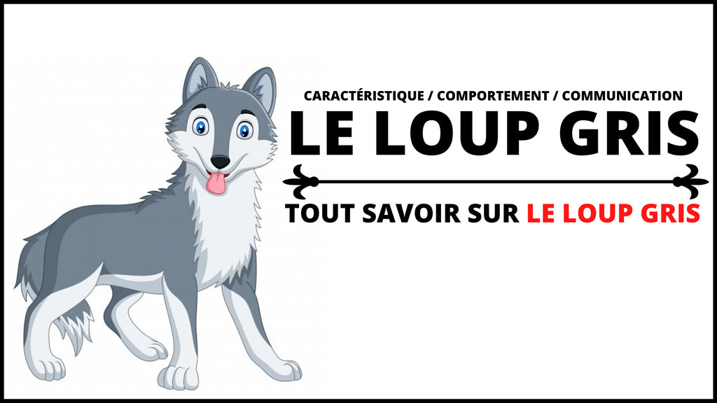 Loup Gris