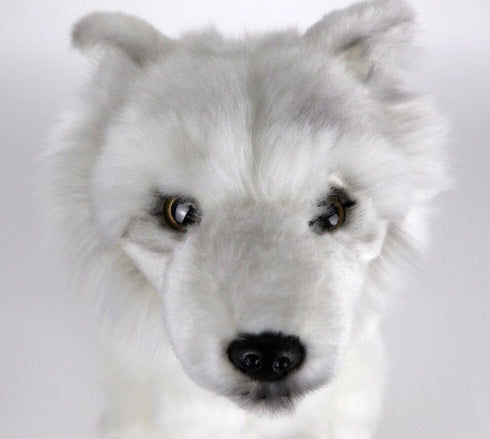 Peluche Loup Blanc