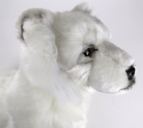 Peluche Loup Blanc