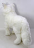 Peluche Loup Blanc