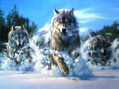 Peinture Loup Neige