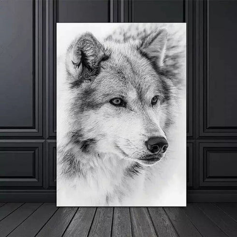 Peinture Loup Blanc