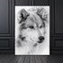 Peinture Loup Blanc