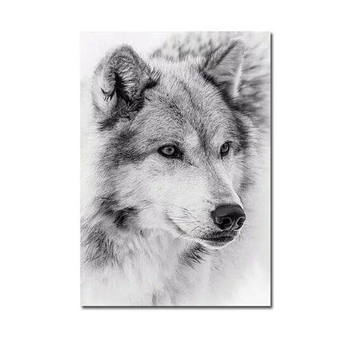 Peinture Loup Blanc