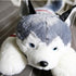 Peluche Loup 35cm