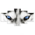 Tableau Loup Yeux de Loup