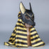 Masque Loup Anubis