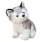 Peluche Loup Chien Loup