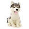 Peluche Loup Husky