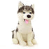 Peluche Loup Husky