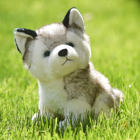Peluche Loup Chien Loup