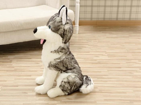 Peluche Loup Husky