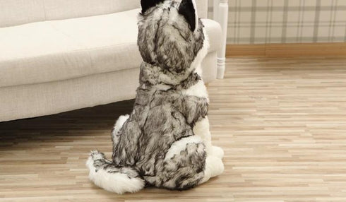 Peluche Loup Husky