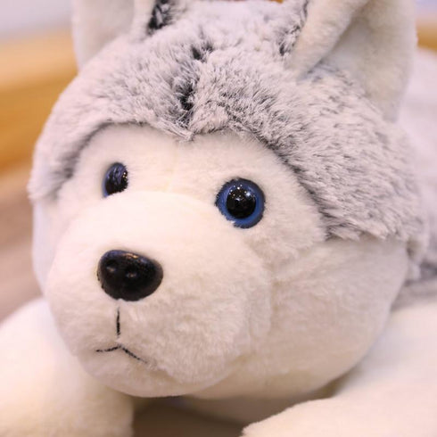 Peluche Loup Arctique