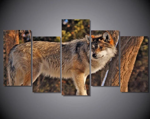 Tableau Loup Mexicain