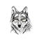 Tatouage Loup Dessin